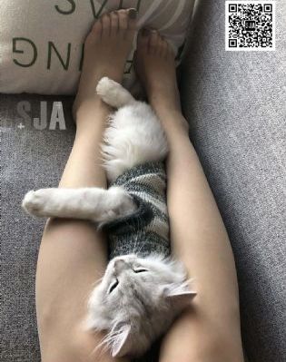 目中无人_剧情片在线视频播放